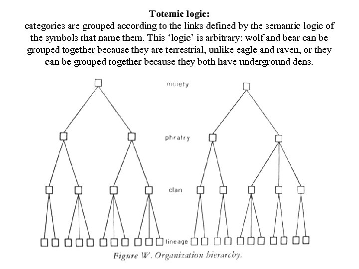 Totemic logic: categories are grouped according to the links defined by the semantic logic