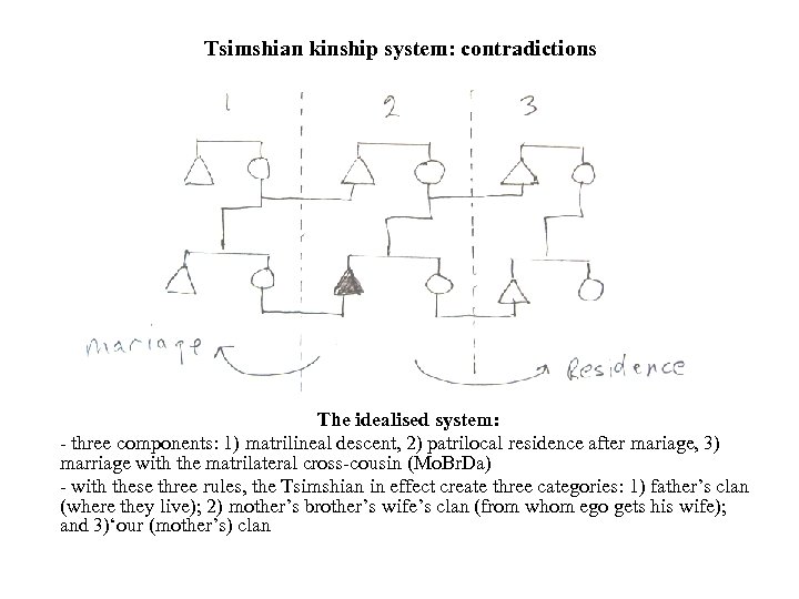 Tsimshian kinship system: contradictions The idealised system: - three components: 1) matrilineal descent, 2)