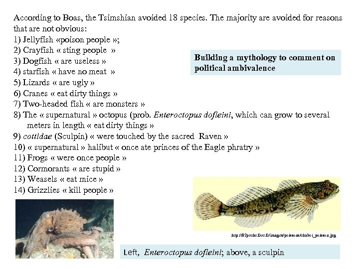 According to Boas, the Tsimshian avoided 18 species. The majority are avoided for reasons