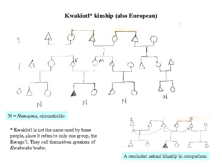 Kwakiutl* kinship (also European) N = Numayma, «household» * Kwakiutl is not the name