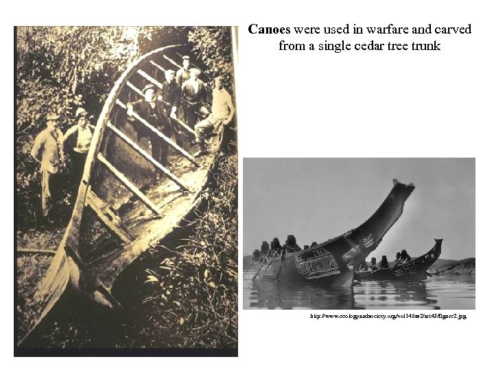 Canoes were used in warfare and carved from a single cedar tree trunk http: