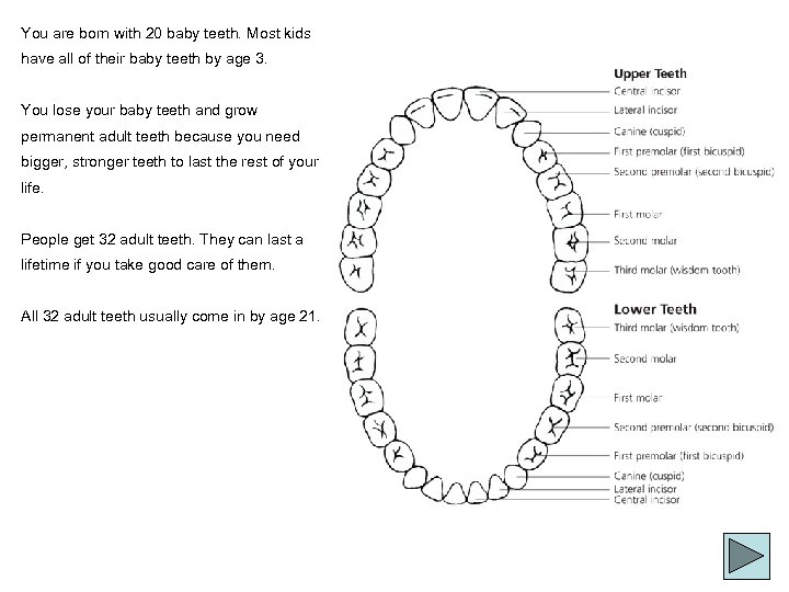 You are born with 20 baby teeth. Most kids have all of their baby