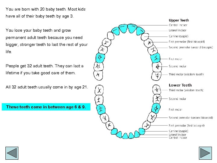 You are born with 20 baby teeth. Most kids have all of their baby