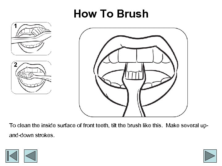 How To Brush 1 2 To clean the inside surface of front teeth, tilt