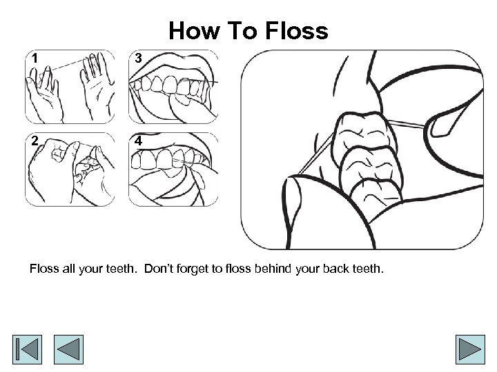 How To Floss 1 3 2 4 Floss all your teeth. Don’t forget to