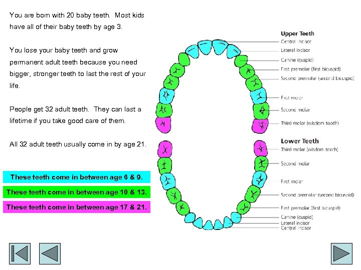 You are born with 20 baby teeth. Most kids have all of their baby