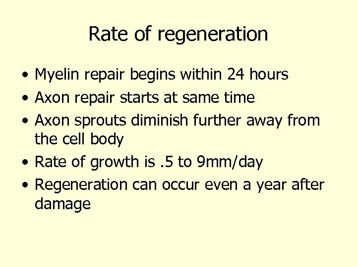 Rate of regeneration • Myelin repair begins within 24 hours • Axon repair starts