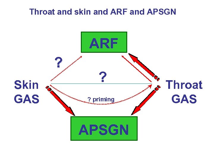 Throat and skin and ARF and APSGN ARF ? Skin GAS ? ? priming