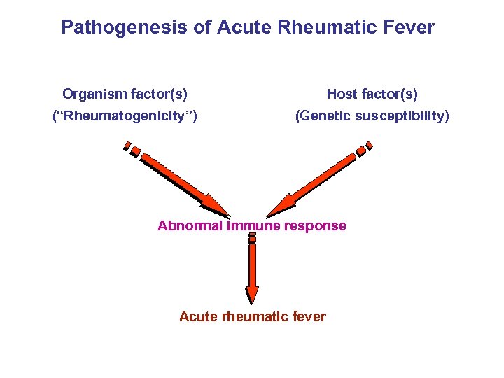 Pathogenesis of Acute Rheumatic Fever Organism factor(s) Host factor(s) (“Rheumatogenicity”) (Genetic susceptibility) Abnormal immune