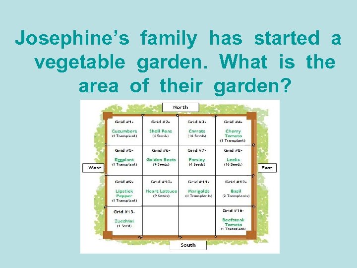 Josephine’s family has started a vegetable garden. What is the area of their garden?