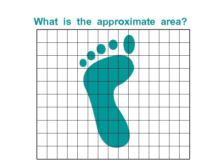 What is the approximate area? 