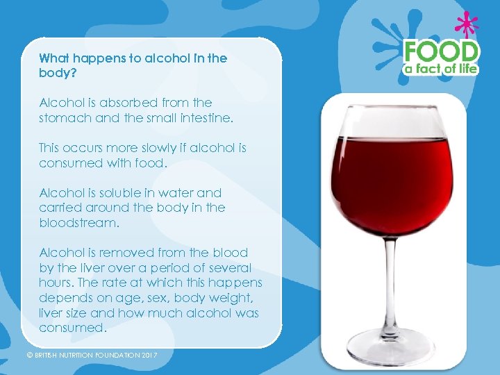 What happens to alcohol in the body? Alcohol is absorbed from the stomach and
