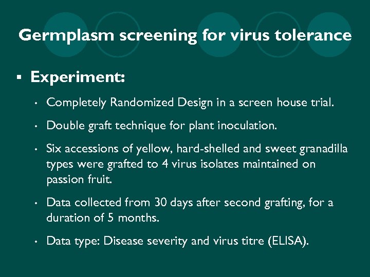Germplasm screening for virus tolerance § Experiment: • Completely Randomized Design in a screen