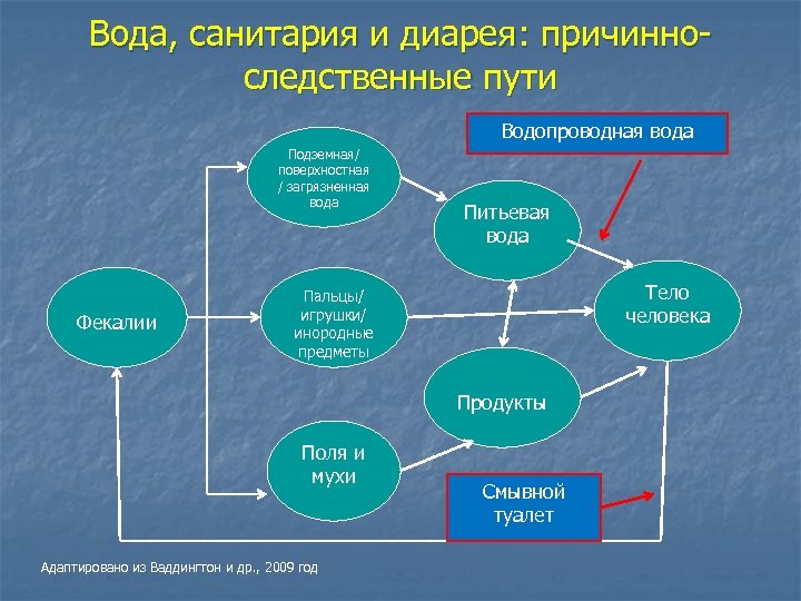 Вода, санитария и диарея: причинноследственные пути Водопроводная вода Подземная/ поверхностная / загрязненная вода Фекалии