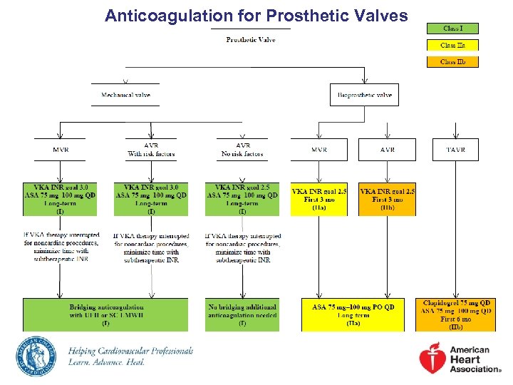 Anticoagulation for Prosthetic Valves 