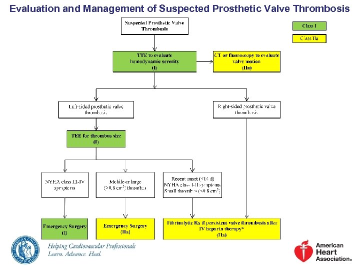 Evaluation and Management of Suspected Prosthetic Valve Thrombosis 