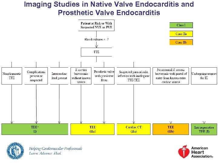 Imaging Studies in Native Valve Endocarditis and Prosthetic Valve Endocarditis 