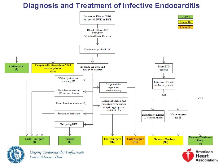 Diagnosis and Treatment of Infective Endocarditis 
