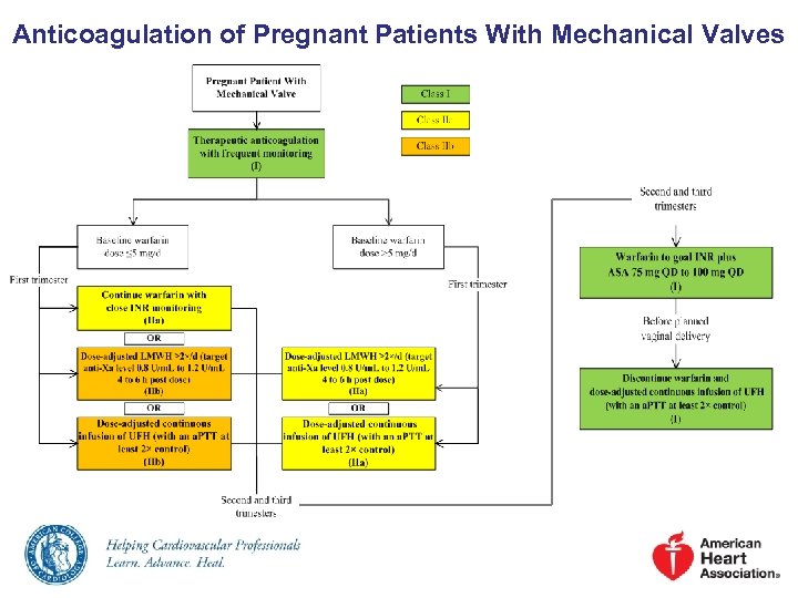 Anticoagulation of Pregnant Patients With Mechanical Valves 