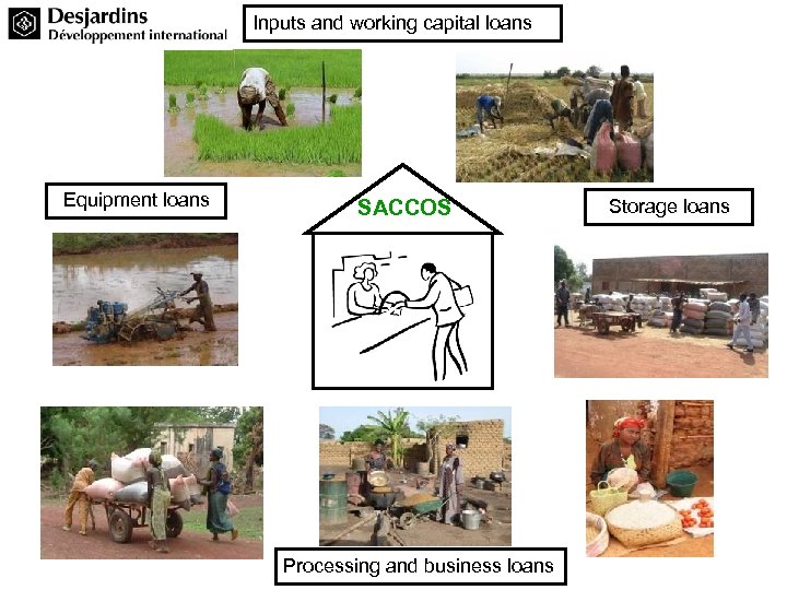 Inputs and working capital loans Equipment loans SACCOS Processing and business loans Storage loans