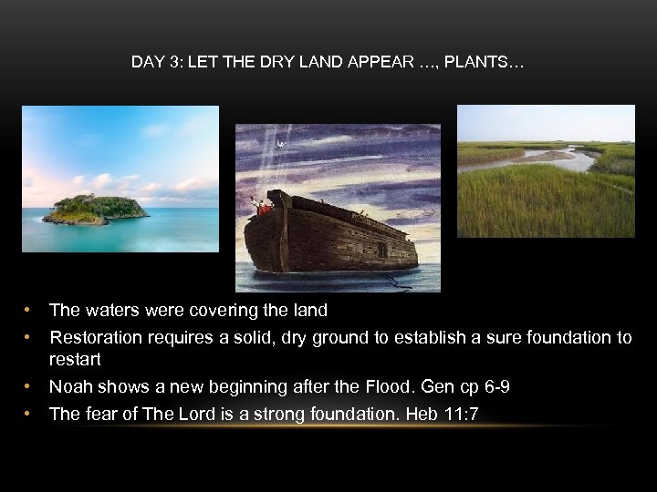 DAY 3: LET THE DRY LAND APPEAR …, PLANTS… • • The waters were