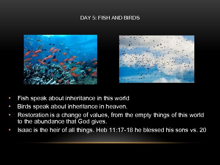 DAY 5: FISH AND BIRDS • • Fish speak about inheritance in this world
