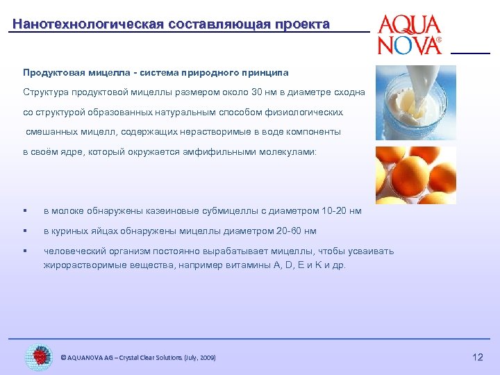Нанотехнологическая составляющая проекта Продуктовая мицелла - система природного принципа Структура продуктовой мицеллы размером около
