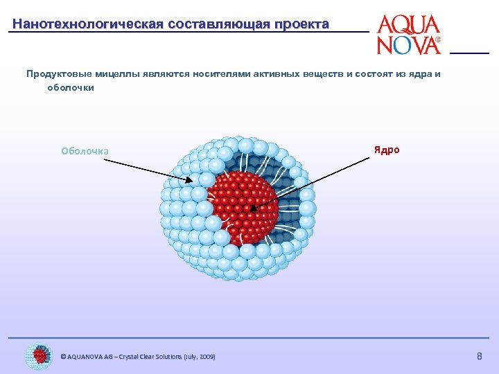 Нанотехнологическая составляющая проекта Продуктовые мицеллы являются носителями активных веществ и состоят из ядра и
