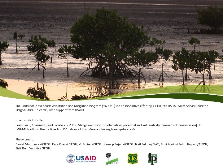 The Sustainable Wetlands Adaptation and Mitigation Program (SWAMP) is a collaborative effort by CIFOR,