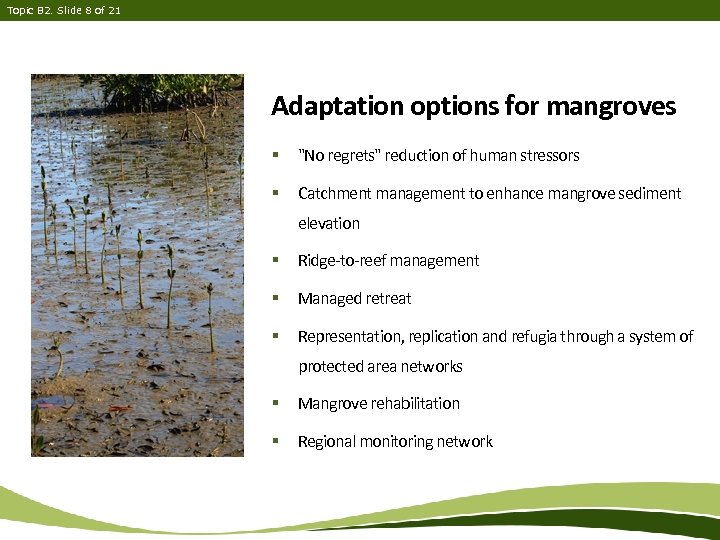 Topic B 2. Slide 8 of 21 Adaptation options for mangroves § "No regrets"