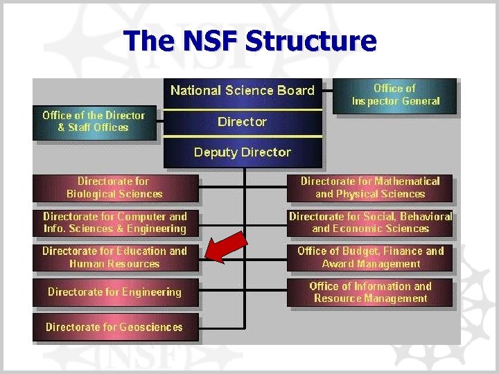 The NSF Structure 
