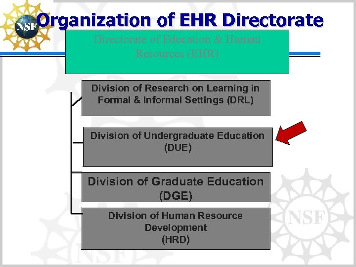 Organization of EHR Directorate of Education & Human Resources (EHR) Division of Research on