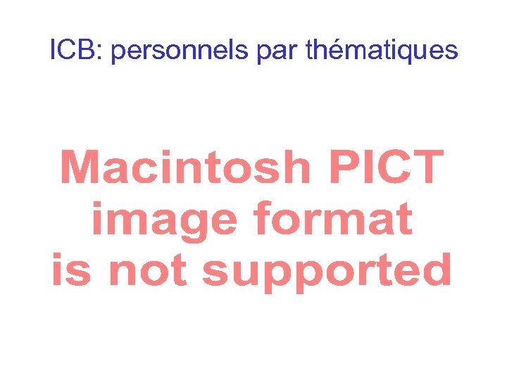 ICB: personnels par thématiques 