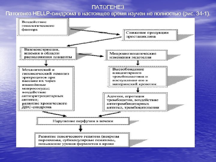 ПАТОГЕНЕЗ Патогенез HELLP-синдрома в настоящее время изучен не полностью (рис. 34 -1). 