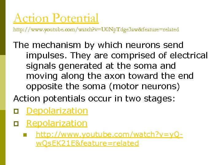 Action Potential http: //www. youtube. com/watch? v=U 0 Np. Tdge 3 aw&feature=related The mechanism