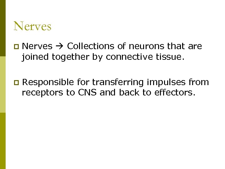 Nerves p Nerves Collections of neurons that are joined together by connective tissue. p
