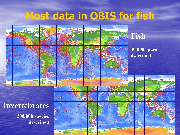 Most data in OBIS for fish Fish 30, 000 species described Invertebrates 200, 000