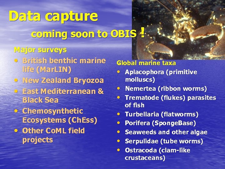 Data capture coming soon to OBIS Major surveys • British benthic marine life (Mar.