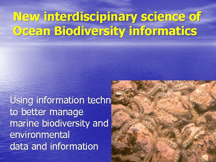 New interdiscipinary science of Ocean Biodiversity informatics Using information technology to better manage marine