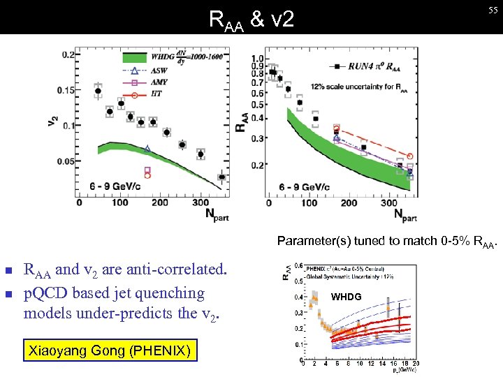 55 RAA & v 2 Parameter(s) tuned to match 0 -5% RAA. n n