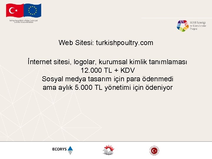 Web Sitesi: turkishpoultry. com İnternet sitesi, logolar, kurumsal kimlik tanımlaması 12. 000 TL +
