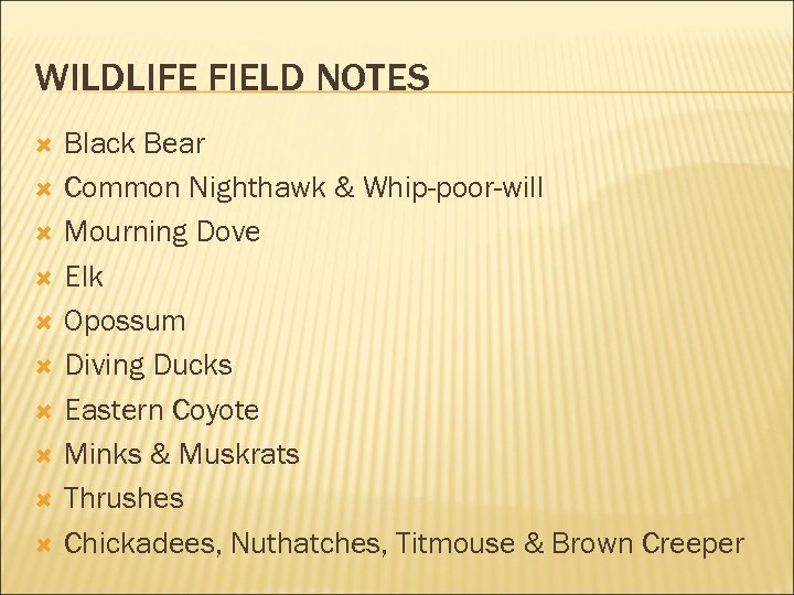 WILDLIFE FIELD NOTES Black Bear Common Nighthawk & Whip-poor-will Mourning Dove Elk Opossum Diving