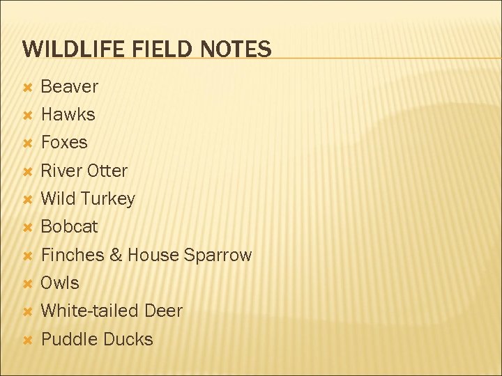 WILDLIFE FIELD NOTES Beaver Hawks Foxes River Otter Wild Turkey Bobcat Finches & House