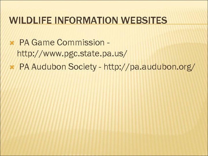 WILDLIFE INFORMATION WEBSITES PA Game Commission http: //www. pgc. state. pa. us/ PA Audubon