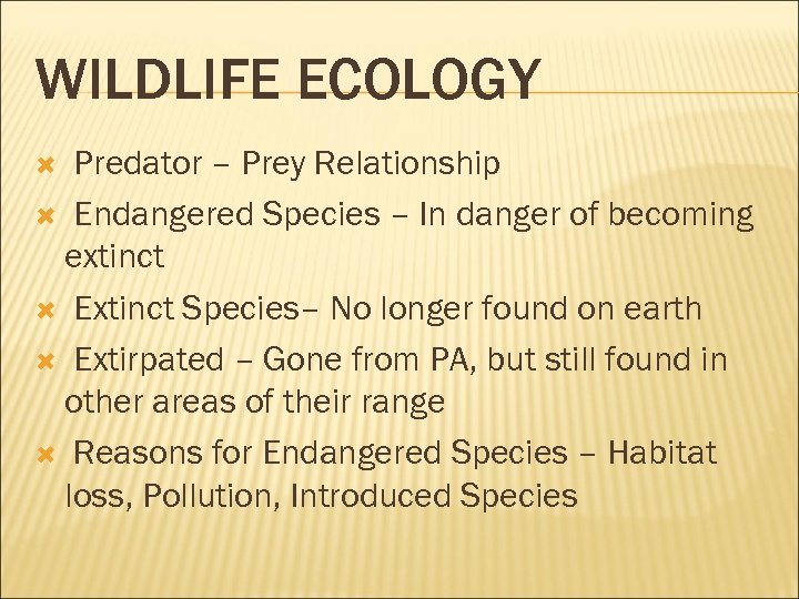 WILDLIFE ECOLOGY Predator – Prey Relationship Endangered Species – In danger of becoming extinct