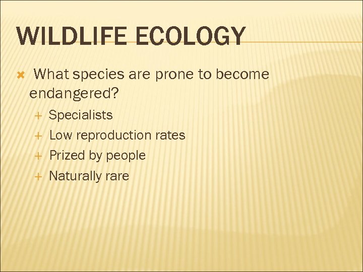 WILDLIFE ECOLOGY What species are prone to become endangered? Specialists Low reproduction rates Prized