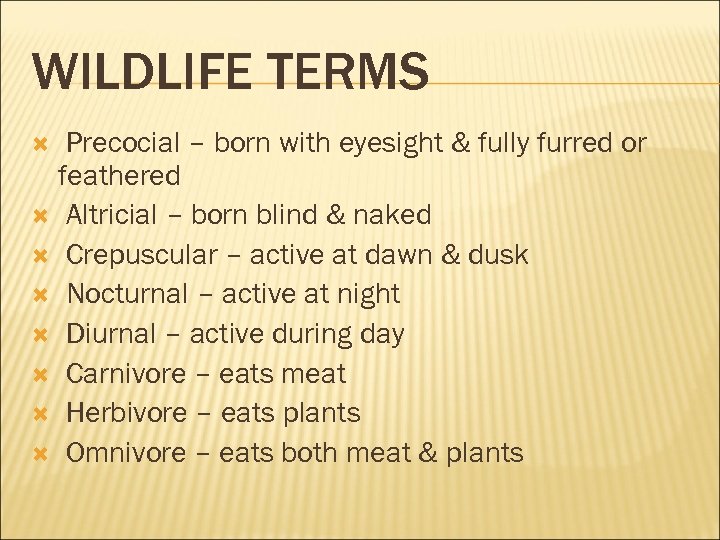 WILDLIFE TERMS Precocial – born with eyesight & fully furred or feathered Altricial –