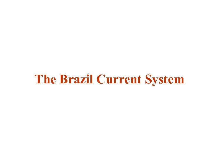 The Brazil Current System 