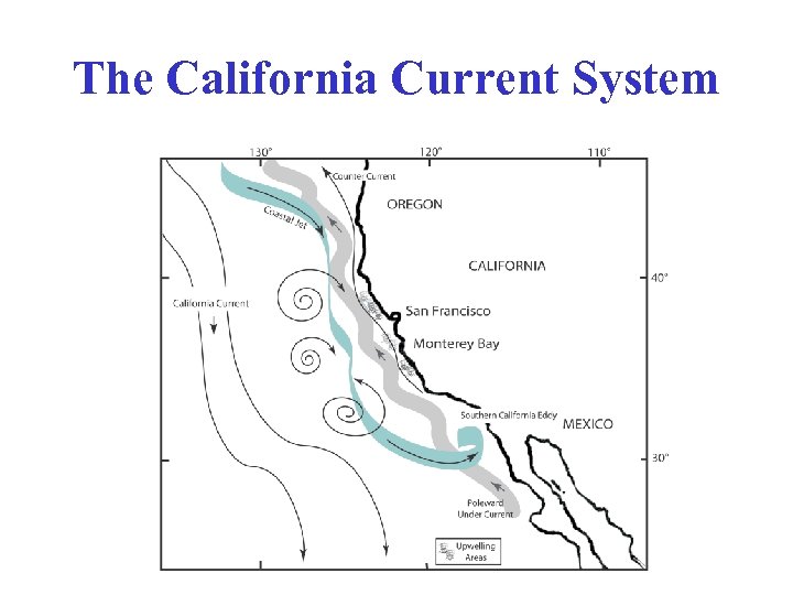 The California Current System 