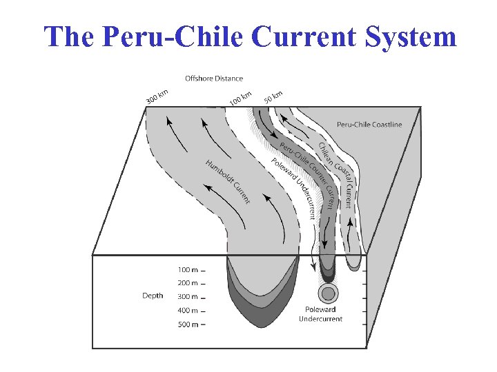 The Peru-Chile Current System 